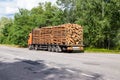 Timber truck with a forest rides on the highway with cargo Royalty Free Stock Photo