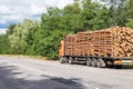 Timber truck with a forest rides on the highway with cargo Royalty Free Stock Photo
