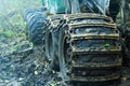 Timber truck in forest