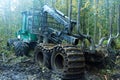 Timber truck in forest