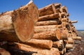 Timber Wood Logging Industry Lumber Raw Logs Stacked Royalty Free Stock Photo