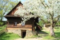 Timbered house with stone cellar in open-air museum