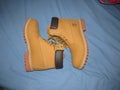 Timberland