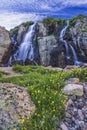 Timberline Cascade of Water and WIldflowers