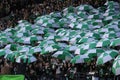 Timbers Army 2013 opener Royalty Free Stock Photo