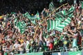 Timbers Army Flags Royalty Free Stock Photo