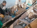 Timbuktu, Mali, Africa - February 4, 2008: Fishermen organizing their catch of the day before returning to port