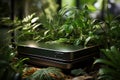 Time capsule nestled among vibrant leaves, environmental image, Generative AI