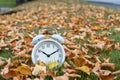 Time change, classic white alarm clock outside on grass and moss berm with fall color in many yellow birch leaves