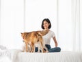 A time of chaos with dog pets walking and smelling on bed sheet while Asian pretty girl looking and smiling this adorable activity Royalty Free Stock Photo
