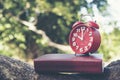 time clock. time management. red clock and book on wooden nature in the park.