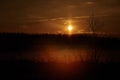 Fog, evening, dawn, tree, silhouette, river, night, light, dusk