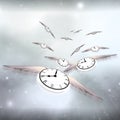 Time Flight Royalty Free Stock Photo