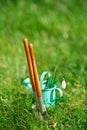 time for garden nowÃÂ¢Ã¢âÂ¬ÃÂ¦. decorative small gardening tools and snowdrops on grass