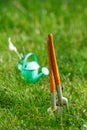 time for garden nowÃÂ¢Ã¢âÂ¬ÃÂ¦. decorative small gardening tools and snowdrops on grass