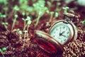 Time goes by Royalty Free Stock Photo