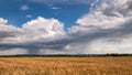 Moving thundercloud over a wheat field