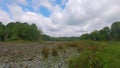 Time Lapse of a pond with undisturbed lily pads