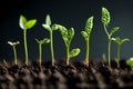 A time-lapse sequence of a seed germinating into a young plant,