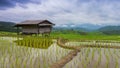 Time lapse terrace rice farm and nimbus clouds floating of thailand