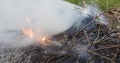 A time lapse video of dry leaves and green plants being devoured by fire. 4k, 4096p, 25fps