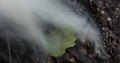 A time lapse video of a green yellow leaf on a pile of dry leaves being devoured by fire. 4k, 4096p, 25fps