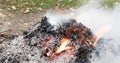 A time lapse video of pile of dry leaves being devoured by fire. 4k, 4096p, 25fps