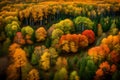 A time-lapse view of a deciduous forest transitioning through all four seasons, from the fresh green of spring to the fiery hues