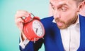 Time management skills. How much time left till deadline. Time to work. Man bearded surprised businessman hold clock