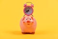 Time save Concept. Pink piggy bank with stopwatch on top