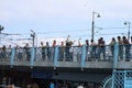 This time the seagull was hooked on the fishing line of the fishermen on the Galata Bridge.