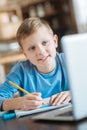 Delighted nice boy looking at the laptop screen Royalty Free Stock Photo