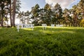 Time to be happy. Beautiful landscape, fresh fir trees forest, green grass field, clear blue sky, summer traveling concept Royalty Free Stock Photo