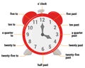 The time vocabulary Vector Illustration