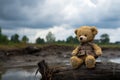 Time worn bear doll exudes melancholy, reminiscent of bygone days