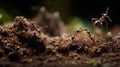 A timelapse of ants building an intricate colony created with Generative AI