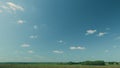 Black Angus Cattle Cows Grazing On Farmland. Cows Grazing On A Green Summer Meadow. Royalty Free Stock Photo