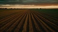 A timelapse of a farming field as crops grow and are harvested created with Generative AI