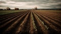 A timelapse of a farming field as crops grow and are harvested created with Generative AI