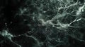 Timelapse image capturing the dynamic nature of dendritic spines constantly changing in response to neural activity