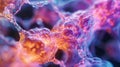 A timelapse microscopy image showing the beating of a of cardiac cells. The rhythmic contractions can be seen as the