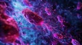 A timelapse microscopy video capturing the dynamic process of hematopoietic stem cell differentiation in realtime