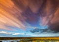 Timelapse movement of clouds across marshland and grasses