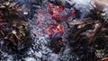 Timelapse reversed video of a burning oak leaf in the ashes of a big pile of leaves and twigs in autumn in 4k 3840 pixels, 10fps