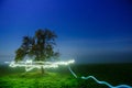 Timelapse shot of beautiful lights and a tree in a green land under a starry sky Royalty Free Stock Photo