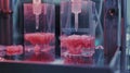 A timelapse video of a bioreactor in action showing the growth and development of cells and tissues in a controlled