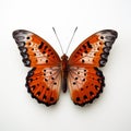 Timeless Artistry: A Close-up Photograph Of An Orange Butterfly With Black Spots