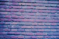 Timeless Beauty: Brick Wall Texture in Amsterdam Streets