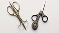 The Timeless Beauty of a Pair of Scissors