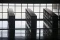 Timeless bookshelves in library